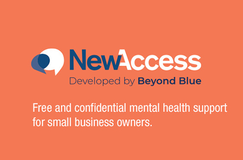 NewAccess for Small Business Owners Highview Accounting